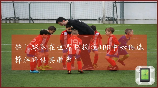 热门球队在世界杯投注app中如何选择和评估其胜率？