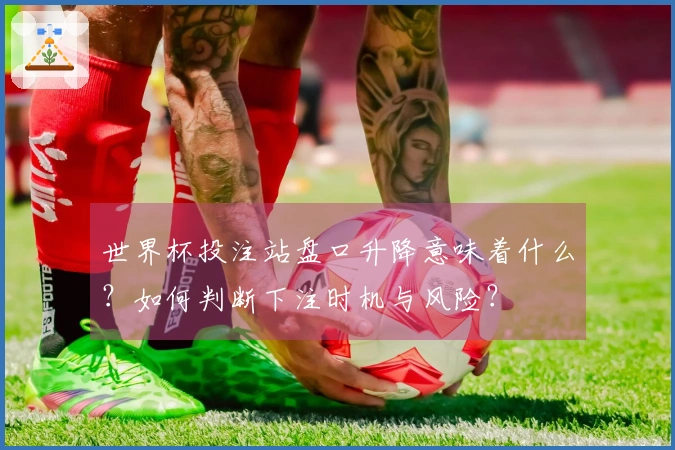 世界杯投注站盘口升降意味着什么？如何判断下注时机与风险？