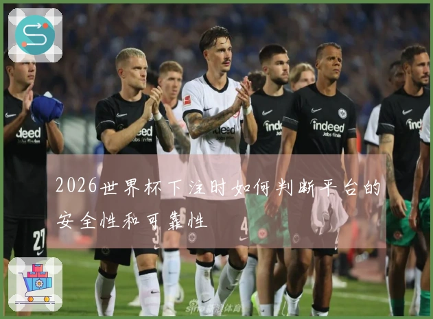 2026世界杯下注时如何判断平台的安全性和可靠性
