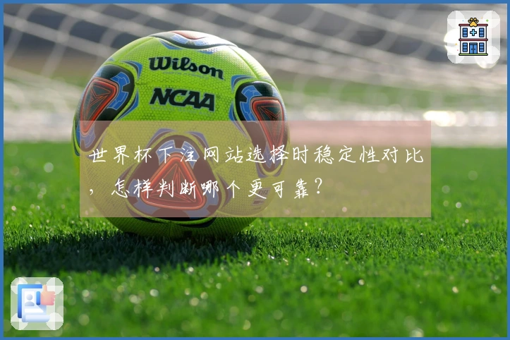 世界杯下注网站选择时稳定性对比，怎样判断哪个更可靠？