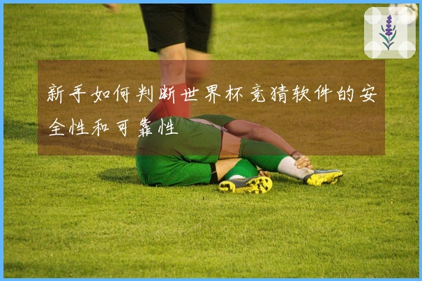 新手如何判断世界杯竞猜软件的安全性和可靠性