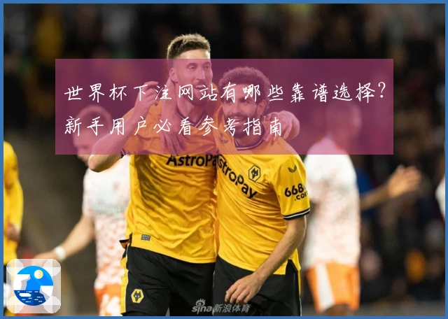 世界杯下注网站有哪些靠谱选择？新手用户必看参考指南