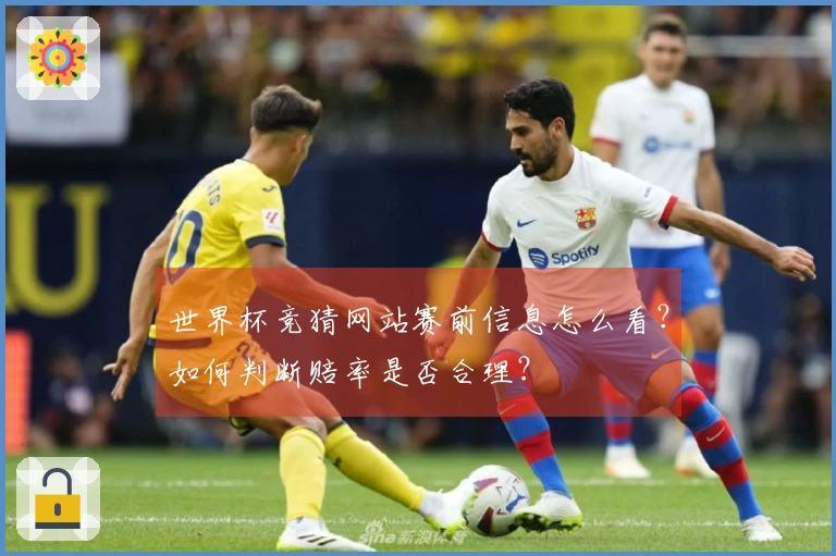 世界杯竞猜网站赛前信息怎么看？如何判断赔率是否合理？