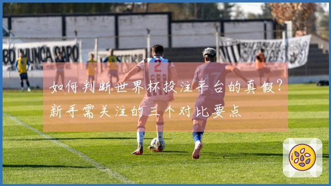 如何判断世界杯投注平台的真假？新手需关注的三个对比要点