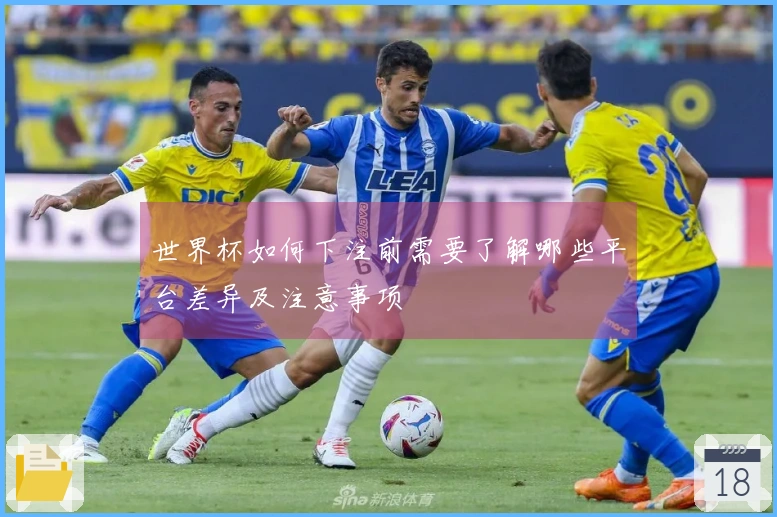 世界杯如何下注前需要了解哪些平台差异及注意事项