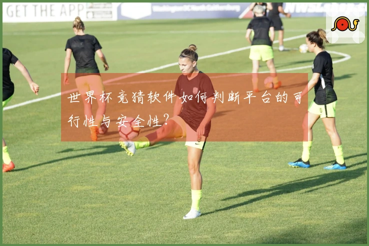 世界杯竞猜软件如何判断平台的可行性与安全性？