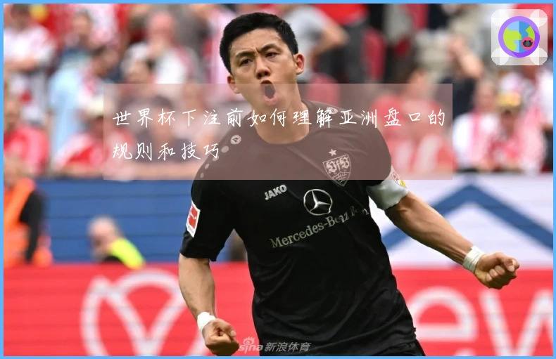 世界杯下注前如何理解亚洲盘口的规则和技巧