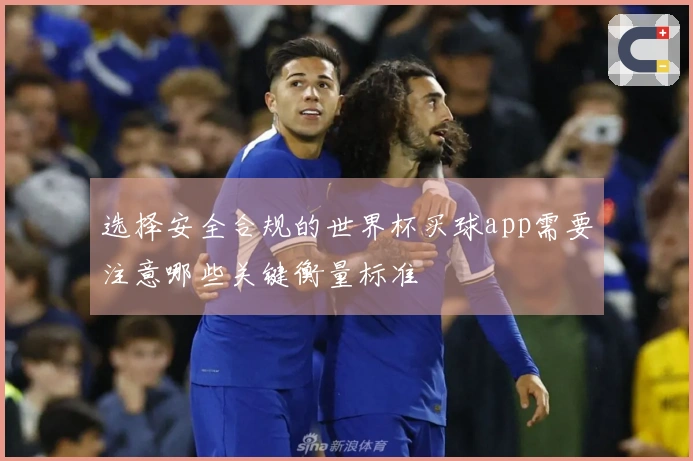 选择安全合规的世界杯买球app需要注意哪些关键衡量标准