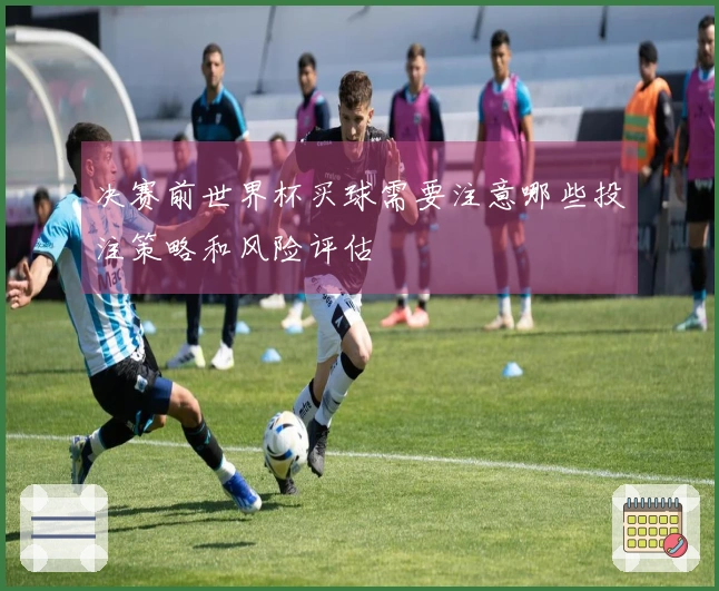 决赛前世界杯买球需要注意哪些投注策略和风险评估