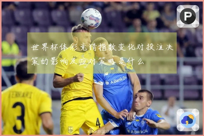 世界杯体彩竞猜指数变化对投注决策的影响及应对策略是什么