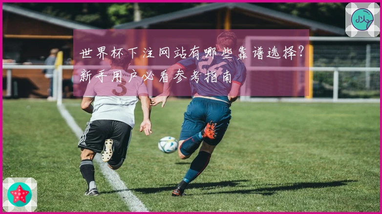 世界杯下注网站有哪些靠谱选择？新手用户必看参考指南