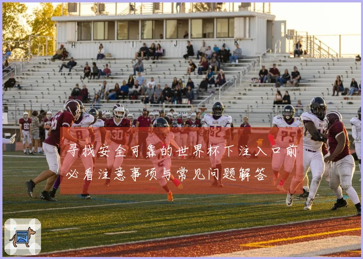 寻找安全可靠的世界杯下注入口前必看注意事项与常见问题解答