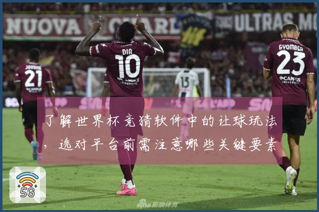 了解世界杯竞猜软件中的让球玩法，选对平台前需注意哪些关键要素