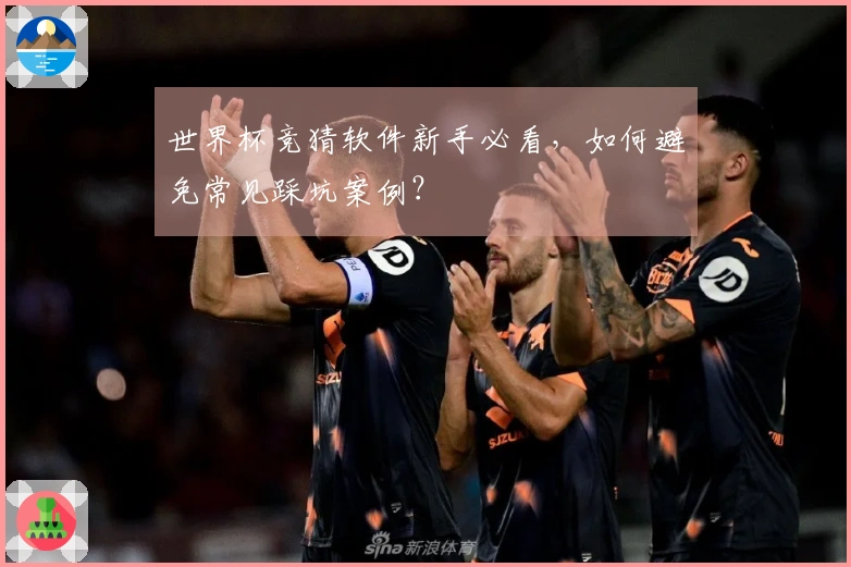 世界杯竞猜软件新手必看，如何避免常见踩坑案例？