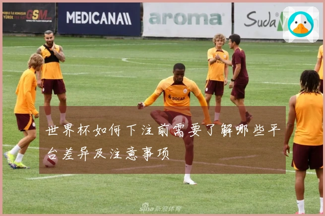世界杯如何下注前需要了解哪些平台差异及注意事项