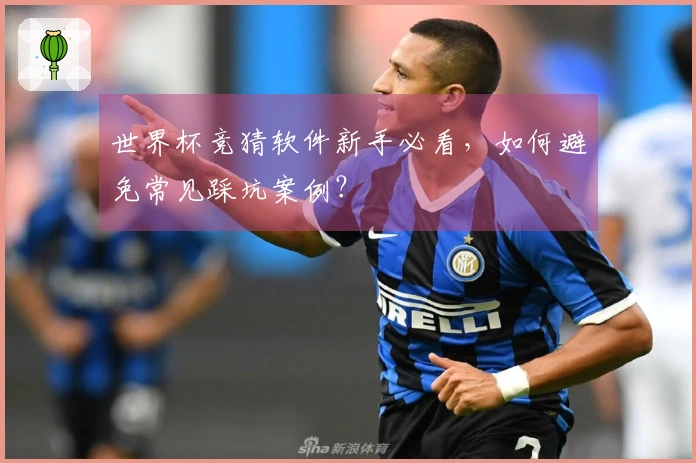 世界杯竞猜软件新手必看，如何避免常见踩坑案例？