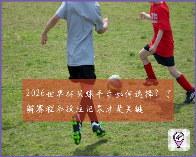 2026世界杯买球平台如何选择？了解赛程和投注记录才是关键